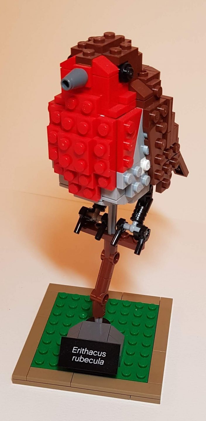 Robin from Birds (LEGO 21301) - Built By Wright Built